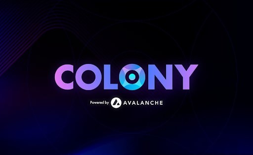 Colony Raises $18.5 Million To Fuel Next-Gen Applications In The Avalanche Ecosystem