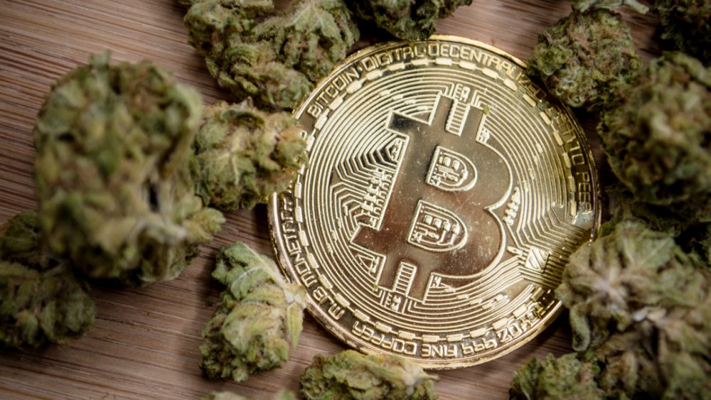 Bitcoin and Pot Stocks: The Two Most Profitable Assets of 2019