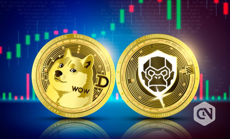Guide to Meme Token Blockchains and Protocols in 2022: RoboApe (RBA) and Dogecoin (DOGE)