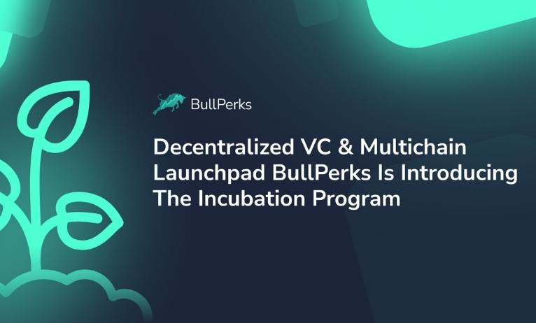 Decentralized VC and Launchpad BullPerks Introduces the Incubation Program