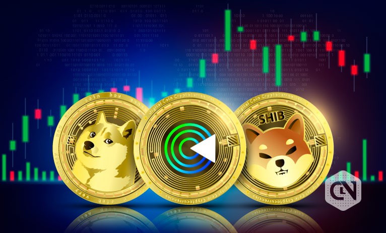 Boundless Returns? Invest in Shiba Inu (SHIB), Dogecoin (DOGE), and Gnox Token (GNOX)!