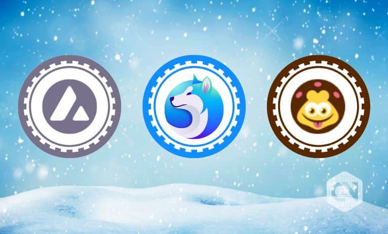 Avalanche, Akita Inu, & Carlossy Caterpillar: 3 Coins That Could Reverse the Effects of Crypto Winter!